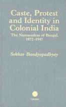 Caste, Protest and Identity in Colonial India