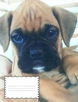 Boxer Puppy Story Paper Notebook 8.5  X 11