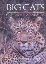 Big Cats of Mala Mala