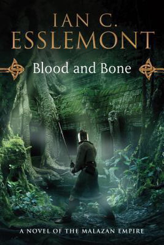 Boekomslag met de titel 'Blood and Bone'. Een ridder in harnas staat in een ruïne met een zwaard.