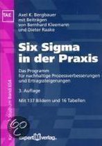 Six Sigma in der Praxis