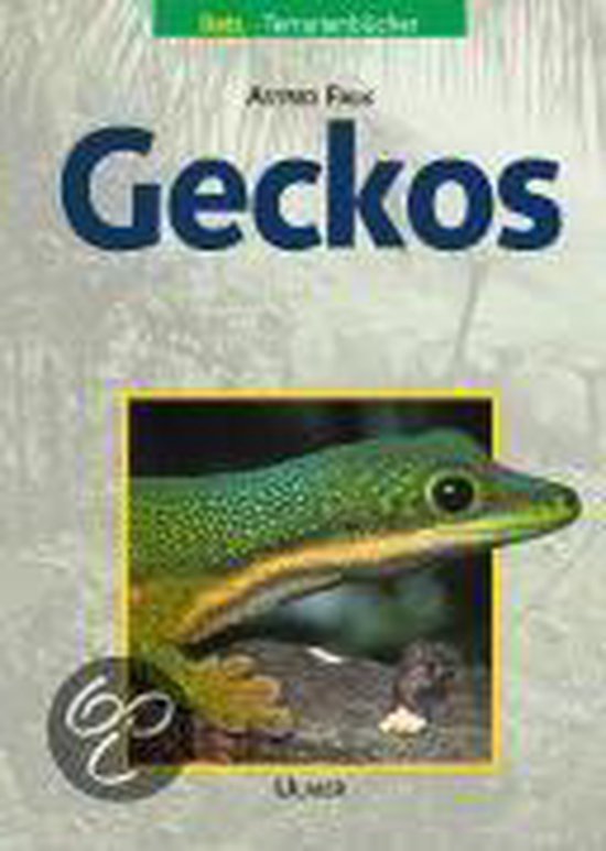 Geckos