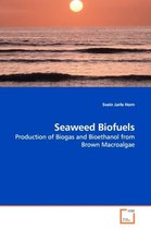 Seaweed Biofuels