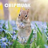 Chipmunk Calendar 2019