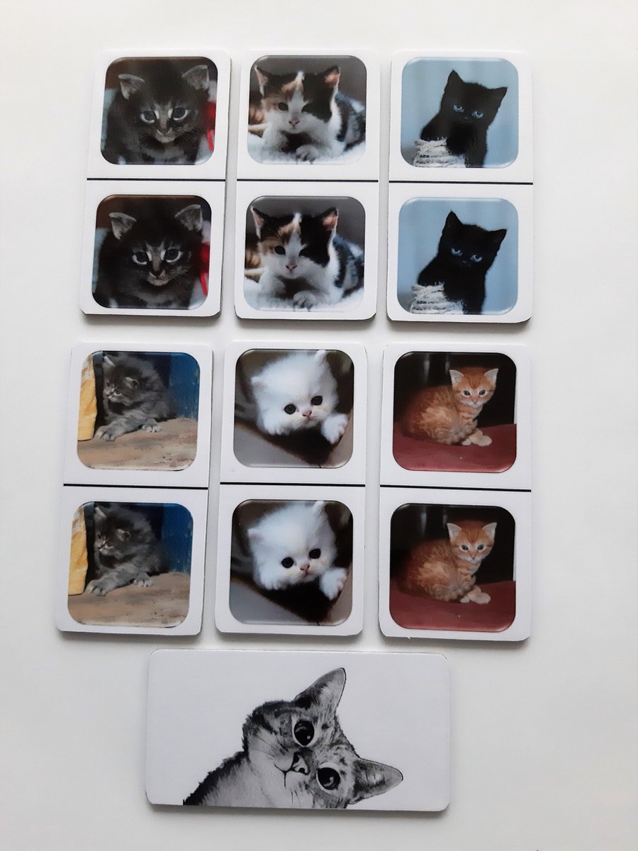 De Spellerie-Speciaal voor mensen met dementie- Fotodomino Kittens-spel-geheugen-senioren
