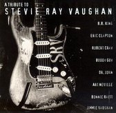 Tribute to Stevie Ray Vaughan