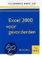 Excel 2000 Voor Gevorderden