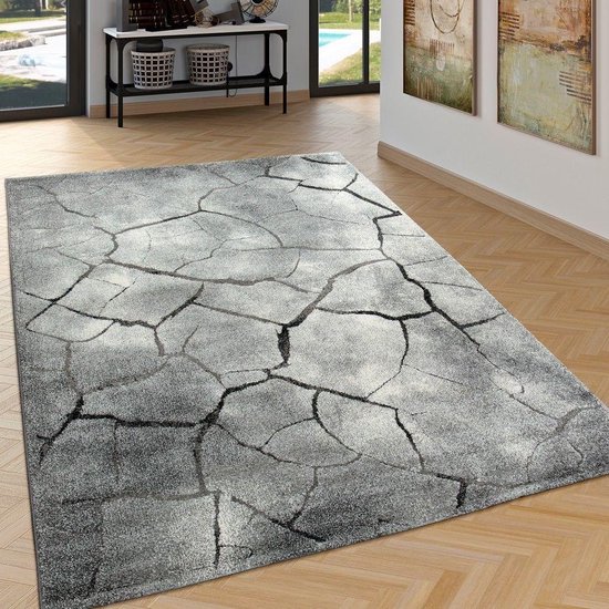 Uitlijnen puzzel Eervol Trendy Design Vloerkleed Tapijt Diep Effect Stone Look Grijs 200 x 290 cm |  bol.com