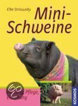 Minischweine