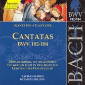 Bach-Ensemble, Helmuth Rilling - J.S. Bach: Cantatas Bwv 182-184 (CD)