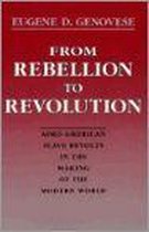 From Rebellion to Revolution