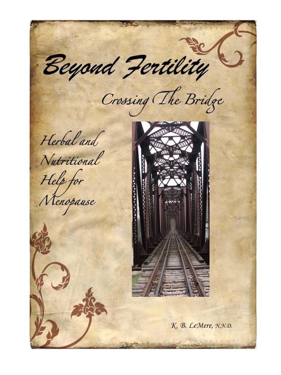 Beyond Fertility, Crossing the Bridge - cover