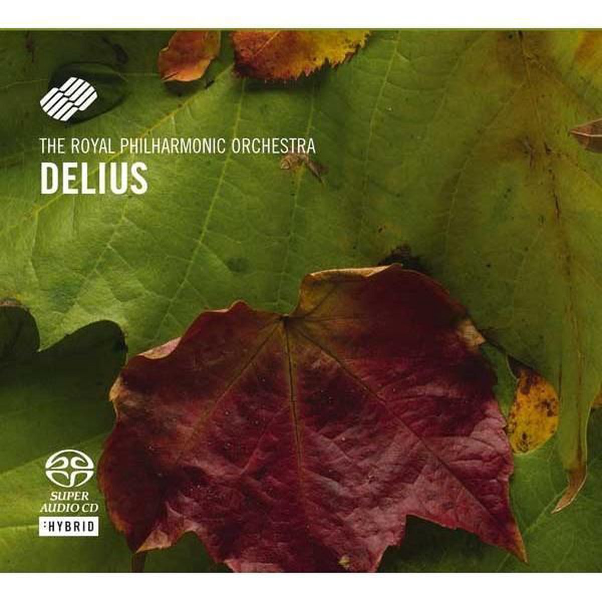 Orchestral works