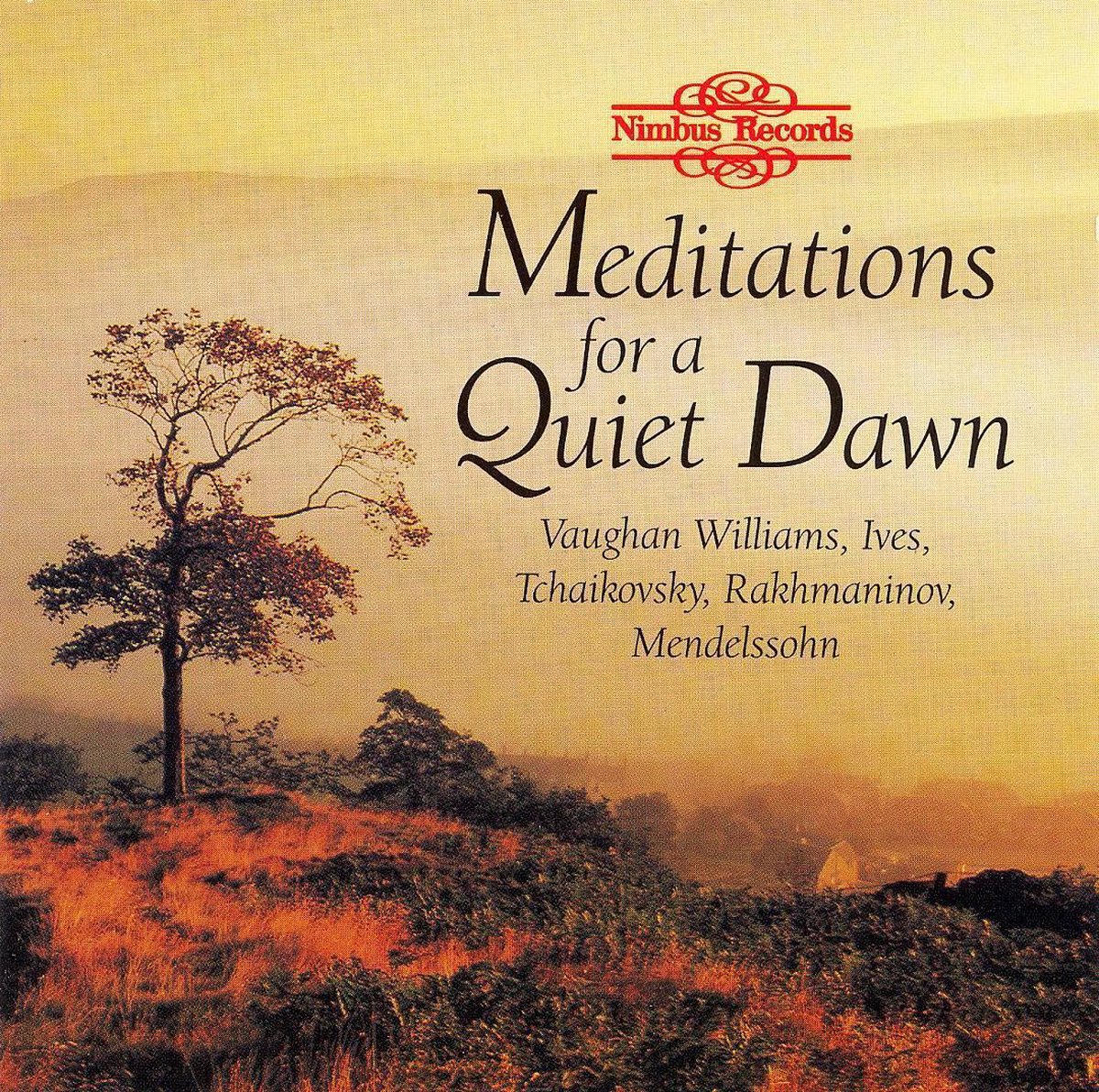 Afbeelding van product Meditations for a Quiet Dawn