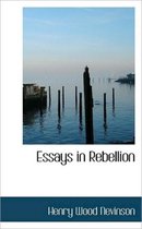 Essays in Rebellion