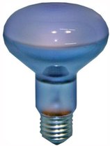 Osram Plantenlamp - 60W - E27