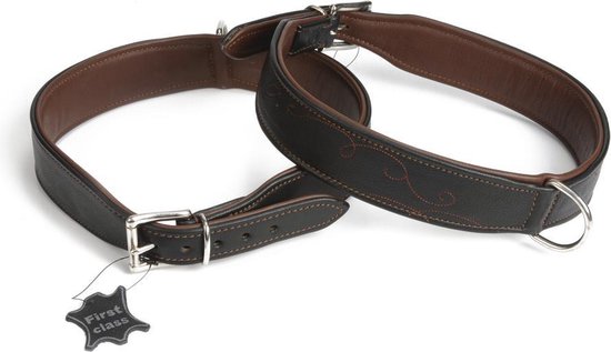 Foto: Led halsband hond usb oplaadbaar 20 50 cm groen led honden halsband extra small tm extra large universeel honden lampje honden licht honden veiligheid lichtgevende halsband hond