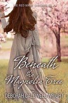 Beneath the Magnolia Tree