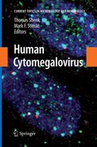 Human Cytomegalovirus