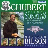 Bilson M. - Piano Sonatas Vol 2 / D537 D95