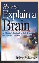 How to Explain a Brain