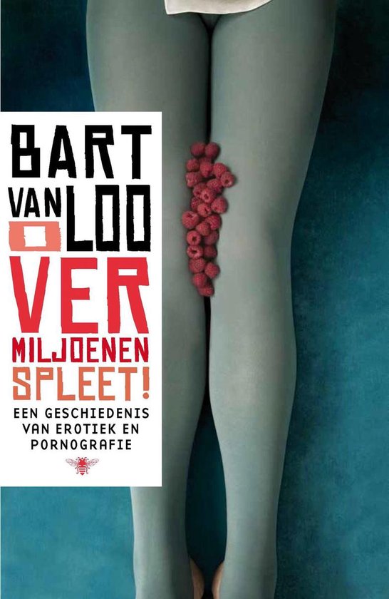 O vermiljoenen spleet - Bart van Loo | 