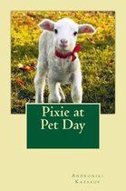 Pixie at Pet day