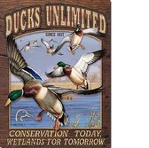Ducks Conservation Today . Metalen wandbord 31,5 x 40,5 cm.
