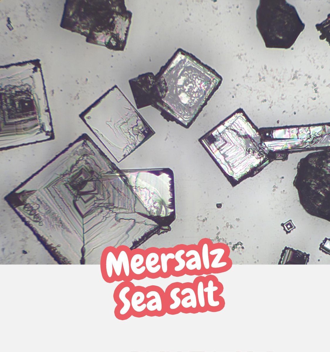 Bresser Junior- Experimenteerset voor Microscopen - Starterskit — afbeelding 16