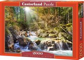 Castorland The Forest Stream – Puzzel – 2.000 stukjes – Satijnen afwerking – Perfecte pasvorm – Europese kwaliteit