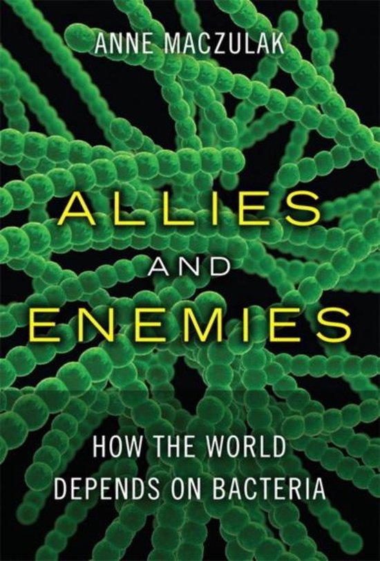 Allies and Enemies - cover