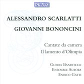 Ensemble Aurora, Enrico Gatti & Gloria Banditelli - Cantate Da Camera : Il Lamento d'Olimpia (CD)