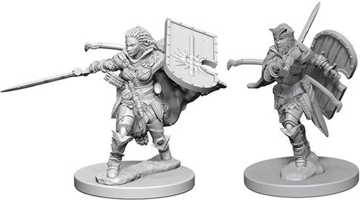 Pathfinder Deep Cuts Unpainted Miniatures - Human Female Paladin