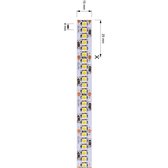 KapegoLED Flexible LED stripe, 3528-240-24V-6000K-5m, coldwhite, constant voltage, 24V DC, power / power consumption: 90,00 W / 90,00 W, length: 5000 mm, EEC: A, IP20