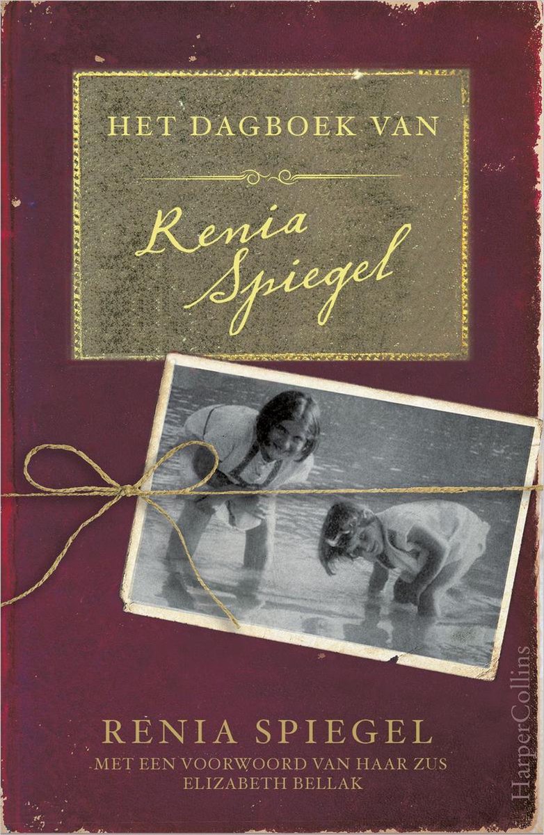 Het dagboek van Renia Spiegel - Renia Spiegel