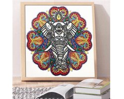 Diamond painting set | olifant gekleurd | 30x30cm | inclusief sorteerdoos met 28 vakjes