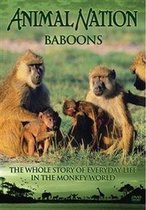 Baboons