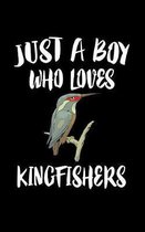 Just A Boy Who Loves Kingfishers