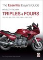 Hinckley Triumph Triples & Fours 750, 900, 955, 1000, 1050, 1200-1991-2009