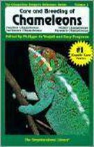 Care and Breeding of Panther, Jackson'S, Veiled, and Parson's Chameleons