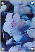 Tuinposter Blauwe Bloemen Ingezoomd 80x120cm- Foto op Tuinposter (wanddecoratie voor buiten en binnen)