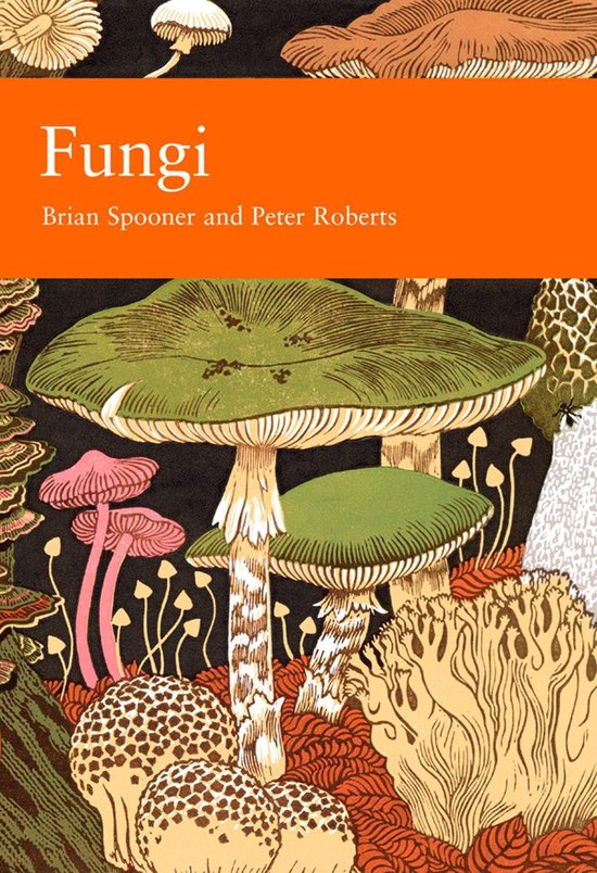 Collins New Naturalist Library 96 - Fungi - cover