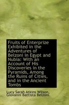 Fruits of Enterprize Exhibited in the Adventures of Belzoni in Egypt and Nubia