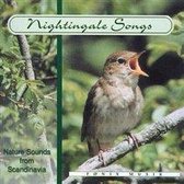 Nightingale Songs