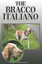The Bracco Italiano