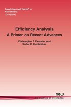 Foundations and Trends® in Econometrics- Efficiency Analysis