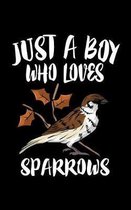 Just A Boy Who Loves Sparrows