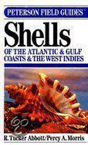 Field Guide To Shells Of The Atlantic