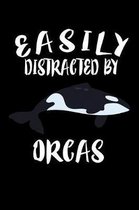 Easily Distracted By Orcas