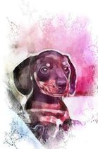 Notebook Dachshund Abstract Painting